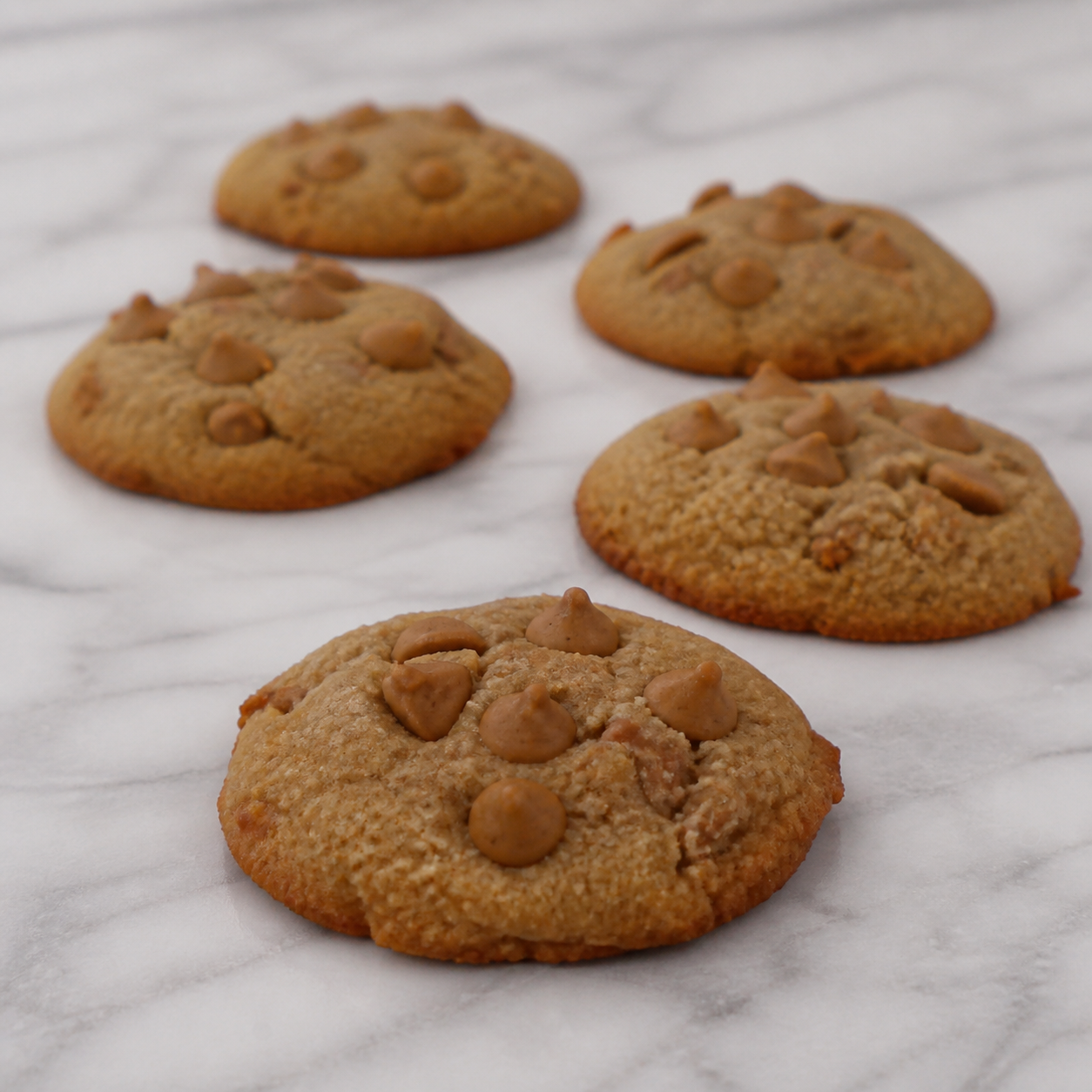 Sugar-Free Peanut Butter Cookies